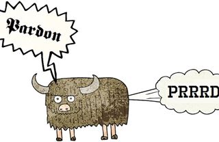 A ta kráva metan dává! Přežije skot ekoregulace?