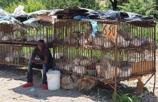 Nápady za bilion. V Zimbabwe není spoleh na nic – kromě lidského důvtipu