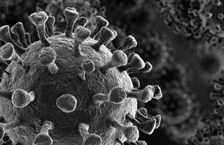 Elity z teflonu. Slizouni se odmlčeli, z covidu nemají profit