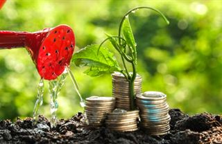 Investice pro začátečníky. Jak fungují podílové fondy a jak si vybrat