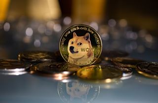 USA prodávají bitcoiny pod cenou a Musk zase provokuje. Týden v kryptu #26