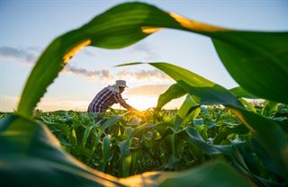 Zemědělství je koulí na noze daňových poplatníků. Osvoboďme ho od dotací