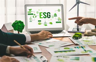 Udržitelnost, nebo greenwashing? Odpovědné firmy mohou získat konkurenční výhodu