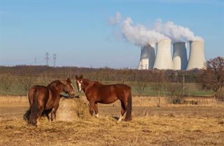 Něco tu je špatně. Kauza Dukovany plně obnažuje prohnilost veřejných zakázek