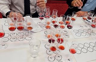 Pátý ročník CNSC: 349 vzorků ze 14 zemí a nový standard kvality