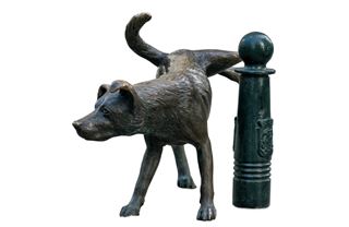 Obcházení daní pro nováčky i pokročilé: proč v Británii zazdívali okna a conversky jsou bačkory