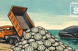 Velryby kupují zlevněný bitcoin ve velkém. Napravený hacker vracel obří lup