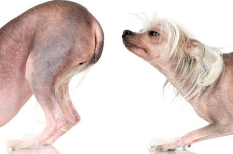 Z radnice do zadnice: Jak investuje česká samospráva