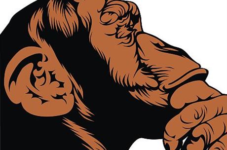 Varování: Tahle kniha z vás udělá chytřejšího člověka