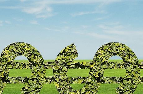 Heč heč, hedgefondy. Géniové, nebo padouši?