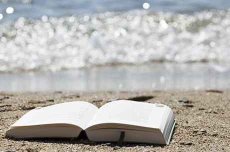 Pikettyho Kapitál přesvědčuje přesvědčené