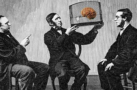 Strach ze svobody se dá překonat