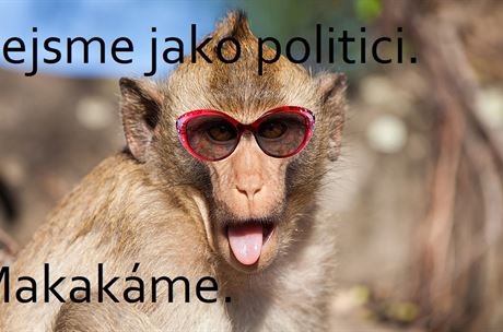 Když vám všechno hraje do karet, zvládne ministra financí i cvičená opice