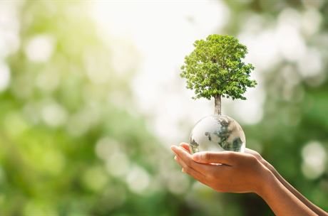 „Na mrtvé planetě nejsou zákazníci.“ Změna klimatu je hrozbou i pro byznys