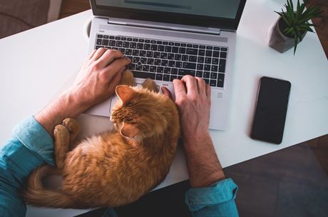 Zvedněte zadky, zlaté časy home office končí. Socialistická novela neprošla