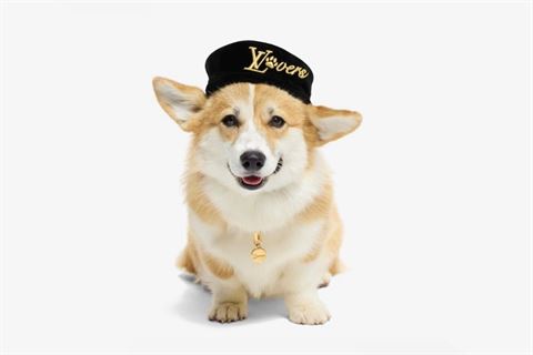 Psí baret značky Louis Vuitton