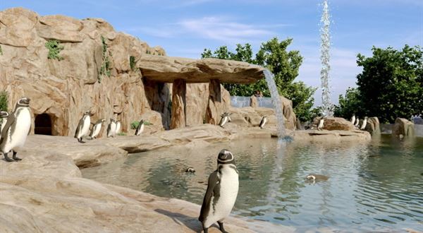 Město hledá zhotovitele expozice tučňáků