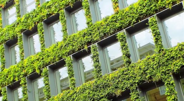 ESG v praxi: Diverzita, inkluze a energetická efektivita jako hnací síla změn
