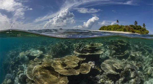 Canon a fotograf Martin Strmiska ve „Světě nevídaném“ ukazují krásu i zranitelnost korálových útesů