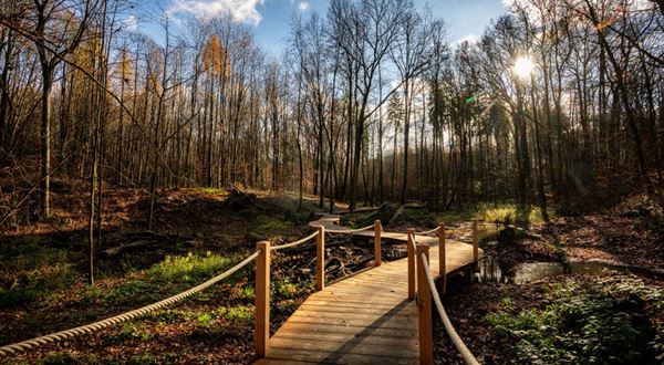 Největší zelená plocha Ostravy se významně proměnila