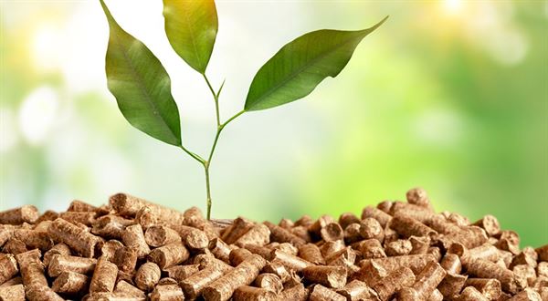 Dřevěné pelety v hlavní roli - teplo ze dřeva, které dává smysl