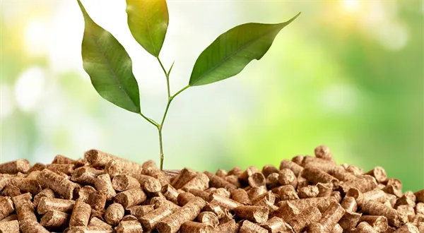 Dřevěné pelety v hlavní roli - teplo ze dřeva, které dává smysl