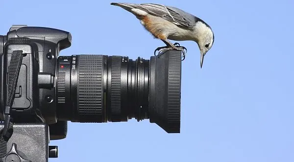 Za miliardy dělá stát z lidí ohyzdy, tvrdí fotografové