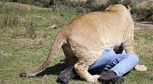 Jak se správně pojistit na cestu do zahraničí