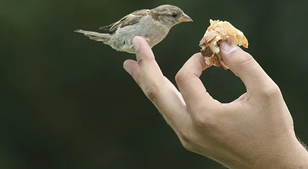Penzijní fondy vábí „poslední klienty“. Necháte se zlákat?