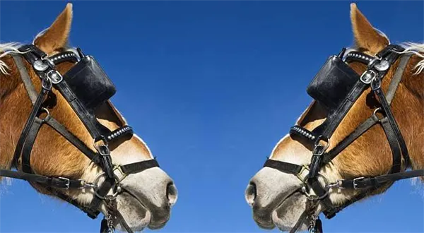 Rozděl a – plakej! Kdy na Prahu přijdou bouře?