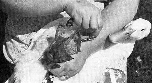 CPE: ... a zkuste někomu říct, jak jsme vás oškubali – zaplatíte padesát tisíc!