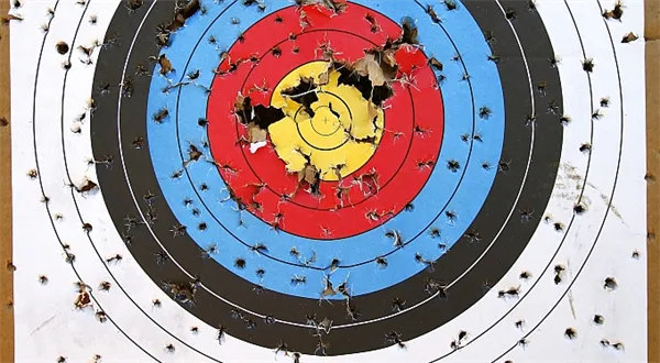 Skoro všichni střílí mimo! Investiční tipy pro rok 2011, pohled zpět