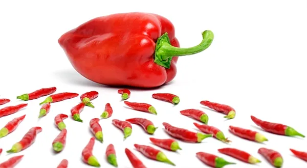 Co si počít, abyste nepočali: kolik stojí antikoncepce