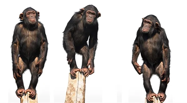 Drahé mýty: Kdo šetří na pojištění, má za tři