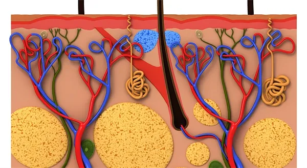 Před čtyřmi lety je sedřela z kůže Finpomoc. Prokletí se vrací!