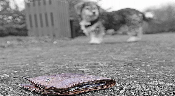 Ztráta, odcizení nebo zničení dokladů: podrobný návod, jak postupovat