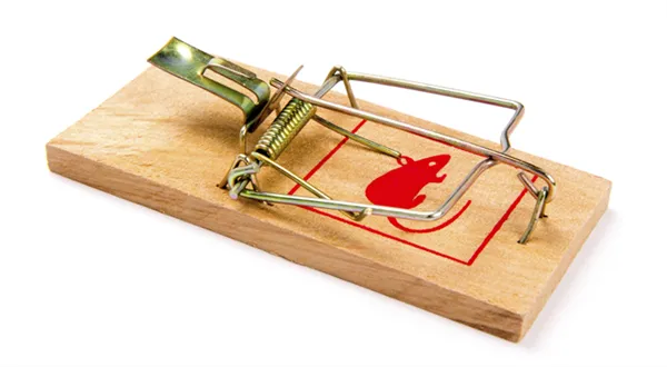 Podnikatelé, nevěřte prodejcům předražených domén. Poradíme, na co si dát pozor! 