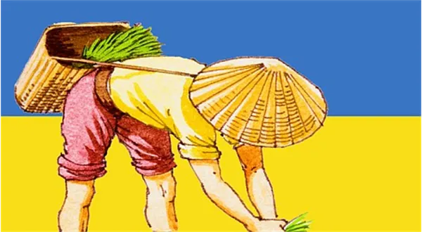 Číňané miliony hektarů na Ukrajině nezískali. Ale určitě je získat chtějí