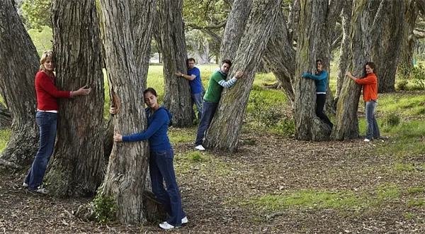 Proč a jak volíme: Není to celé omyl?