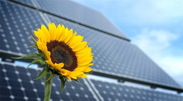 Jak to bylo a je s fotovoltaikou v Česku