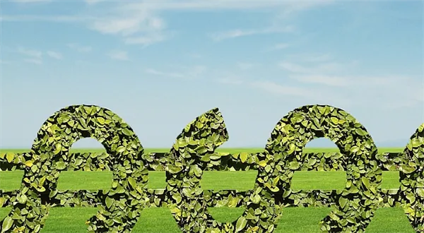 Heč heč, hedgefondy. Géniové, nebo padouši?