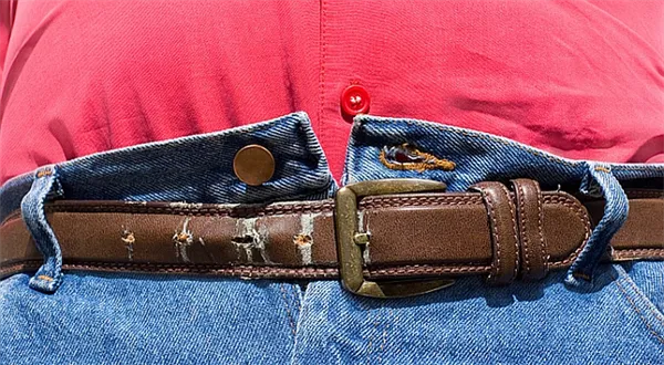 Zeštíhlí Sobotka s Babišem státní správu?