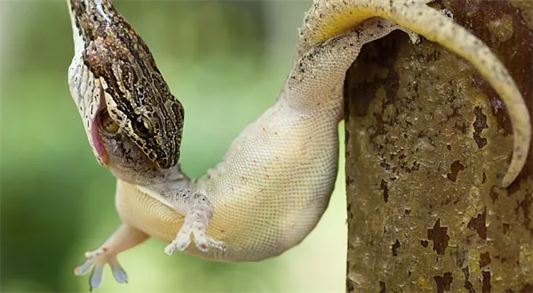 Jak přežít nový občanský zákoník. To nejdůležitější