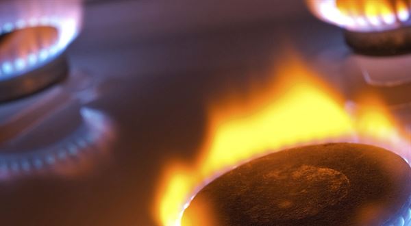 Ceny plynu 2014: Jaké náklady mají podnikatelé?