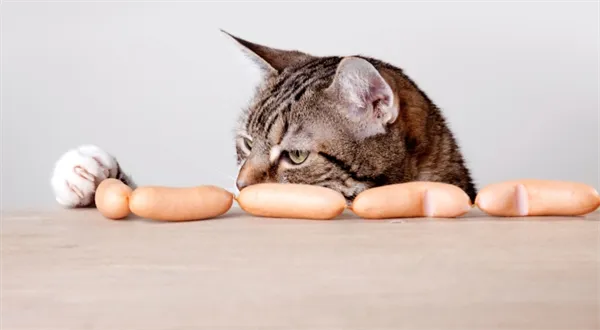 Čtvrtinu tuzemských firem okradli vlastní zaměstnanci