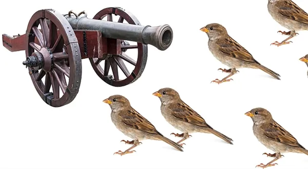 Kampelička WPB Capital: Opatření ČNB jsou naprosto neadekvátní