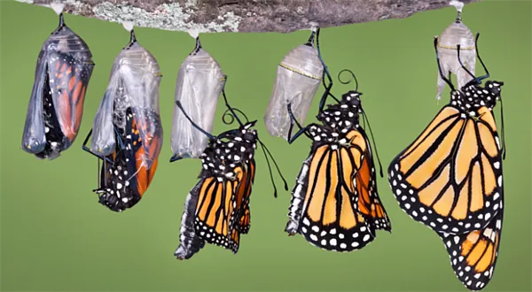 Velký investiční seriál: Fondy životního cyklu