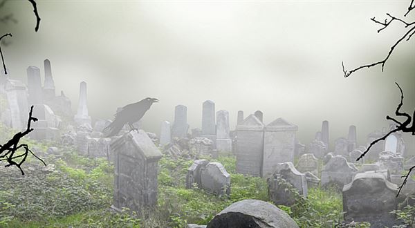 Hroby vstávají z popela: Adoptujte mrtvého velikána