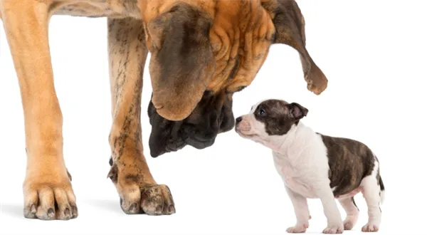 I drobný akcionář má svá práva