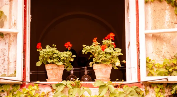 Nehoda číhá i doma. K čemu je pojištění odpovědnosti